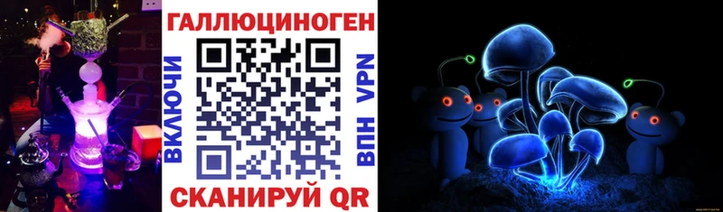 гидра ССЫЛКА  Ипатово  Галлюциногенные грибы Cubensis 